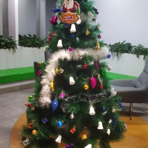 Merry Christmas decoration